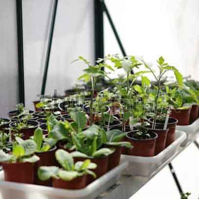 Wholesale Cheap Small Nursery Pots Canada