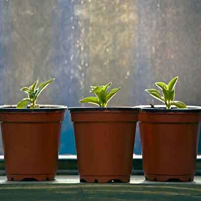 Plastic Cheap Nursery Pots Wholesale Suppliers Texas