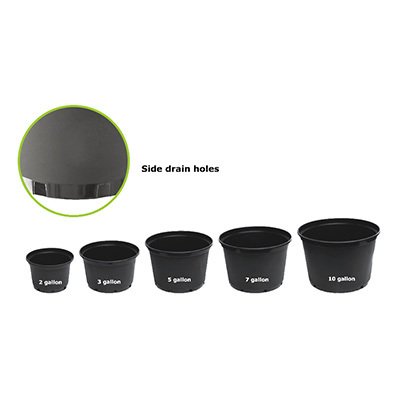 Cheap Gallon Nursery Trade Pot Wholesale Suppliers Texas