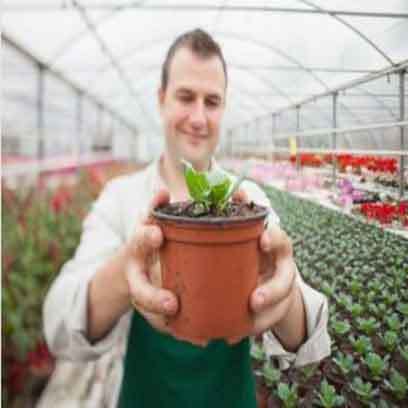 Large Greenhouse Nursery Pots Wholesale USA