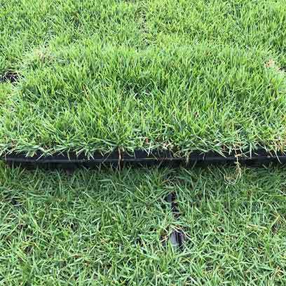 Plastic Tray For Hydroponics Wholesale Portugal