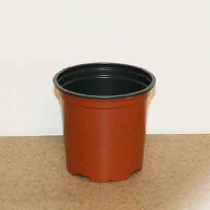 Cheap Plastic v10 Nursery Pots Wholesale Canada