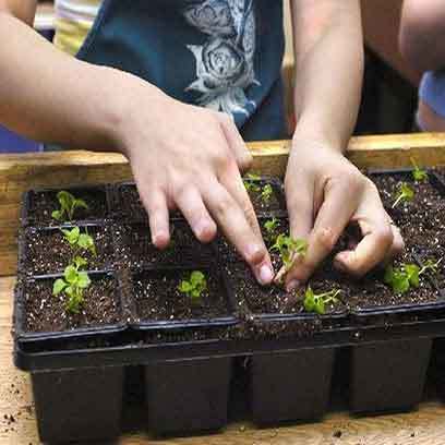 Bulk Buy Cheap Planting Pots For Seedlings UK