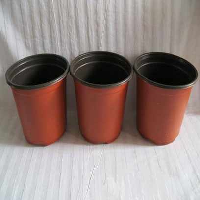 Cheap 8 Inch Plastic Nursery Pots In Bulk