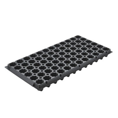 Cheap Plastic Elfin Thyme Plug Tray Manufacturer