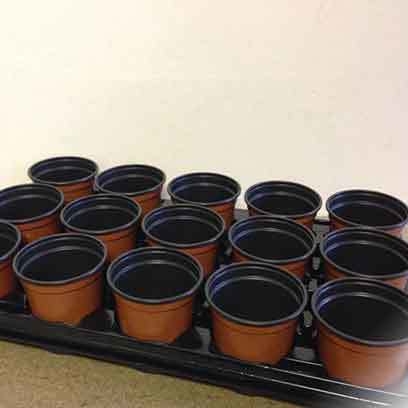 Cheap Plastic Nursery Trade Pots Manufacturer