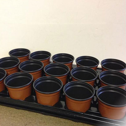 Cheap 6 Inch Plastic Nursery Pots Suppliers China