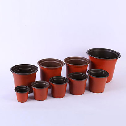 6 Inch Plastic Nursery Pots Wholesale Price UAE