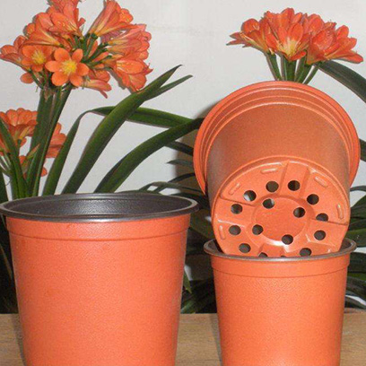 5 Inch Plastic Nursery Pots Wholesale Price Poland