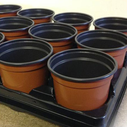 Plastic 10 Inch Nursery Pots Wholesale Price UAE