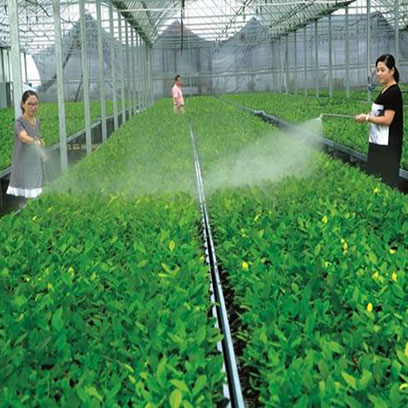 Plastic Seedling Trays Wholesale Price Pakistan