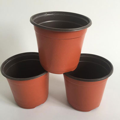 5 Inch Plastic Plant Pots Suppliers Malaysia
