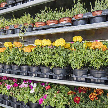 Best Thermoformed Pots Wholesale Costa Rica