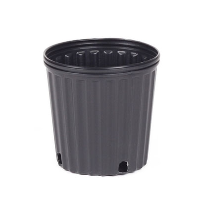 Cheap Plastic Nursery Pots Wholesale USA