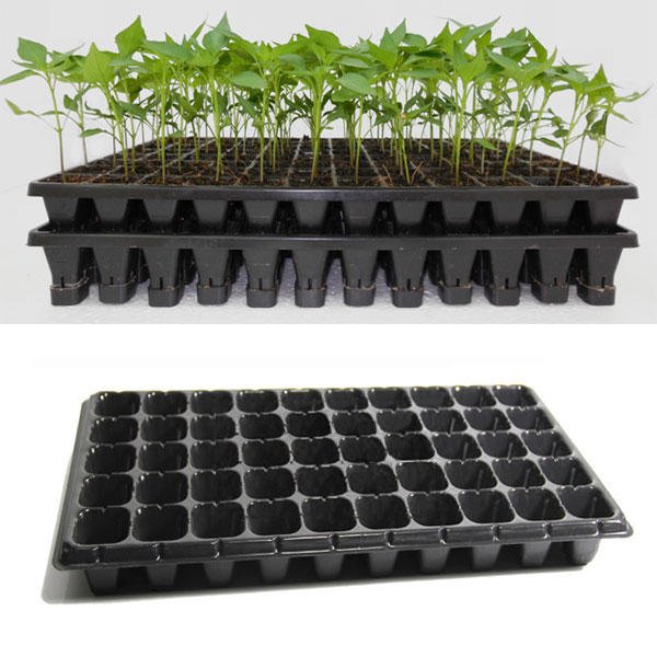Best Plastic Greenhouse Trays Suppliers Netherlands