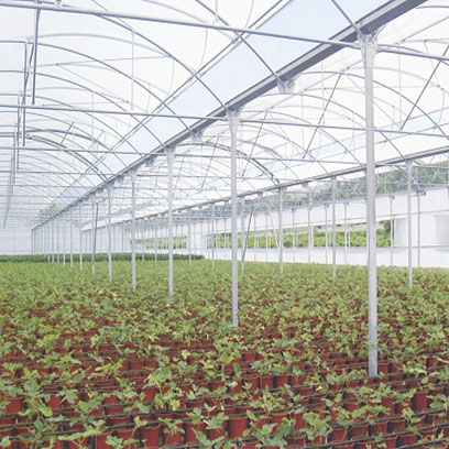 Thermoformed Pots Wholesale Price Southeast Asia