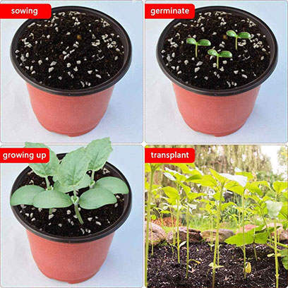 Cheap Plastic Nursery Pots Wholesale Lebanon