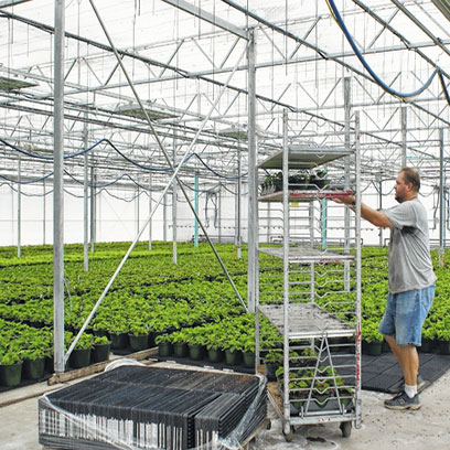 Cheap Plastic Nursery Pots Wholesale Price Oman