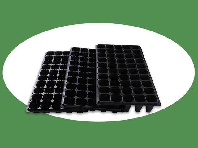 seed sowing trays