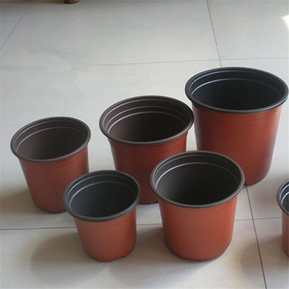 Cheap Plastic Plant Pots Wholesale Yemen