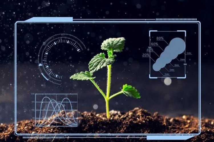 precision agriculture iot