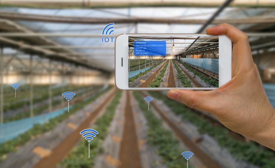 iot and agriculture