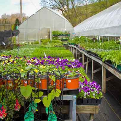Cheap Plastic Garden Pots For Sale