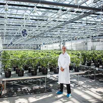 Wholesale Cheap Plastic Greenhouse Pots Ontario
