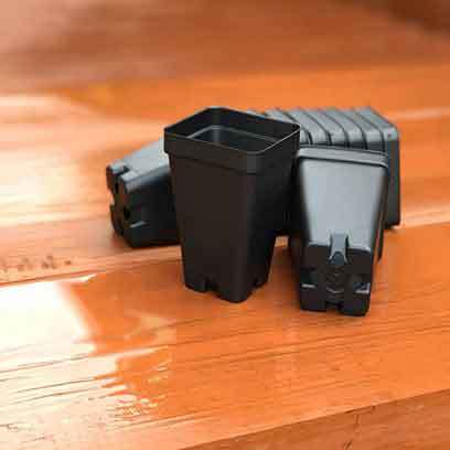 Cheap Small 2.5 Inch Square Plastic Plant Pots