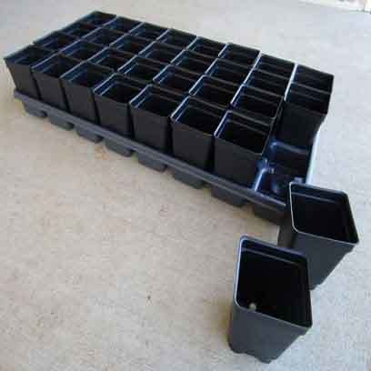 4 Inch Square Succulent Nursery Pots In Bulk