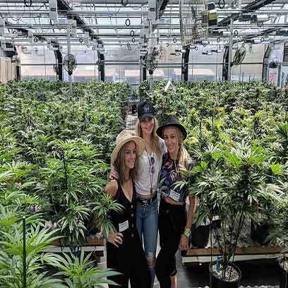 Plastic 3 Gallon Nursery Pots Bulk In Canada