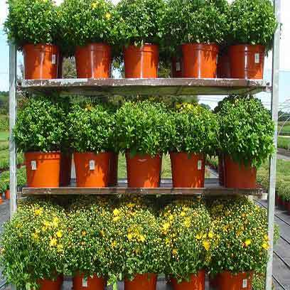 Round 7 Inch Plastic Plant Pots Cape Town