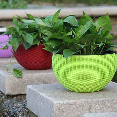 Cheap Teku Plastic Hanging Baskets Wholesale Price
