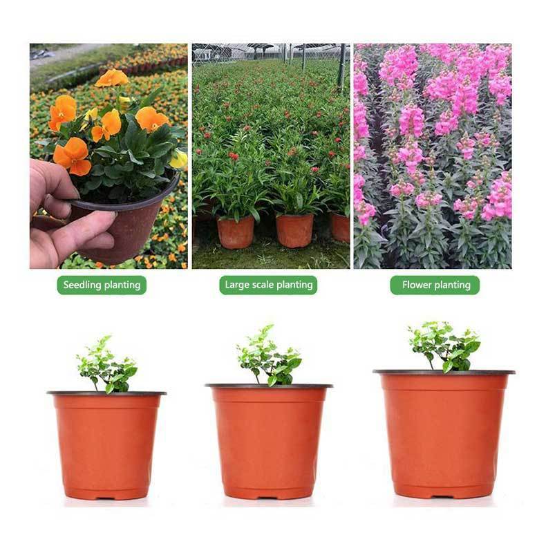 seed starter pots for plants