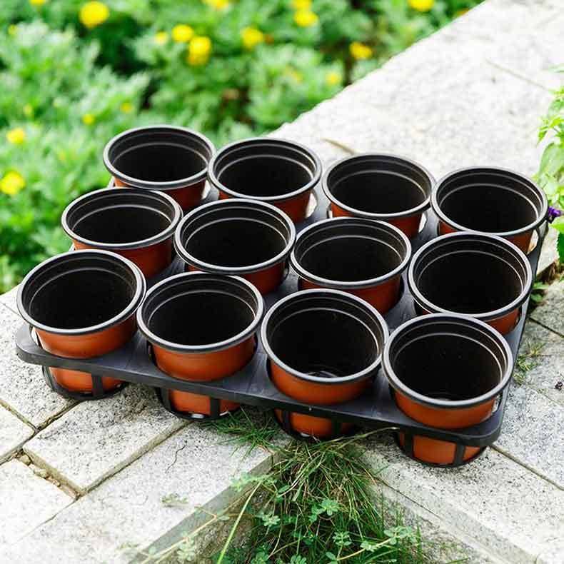 seedling pots and trays