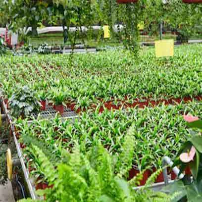 Bulk Buy 4 Inch Heavy Duty Plastic Plant Pots