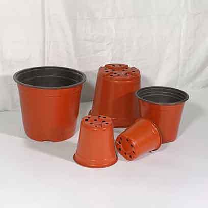 Mini 4 Inch Plastic Succulent Pots In Bulk