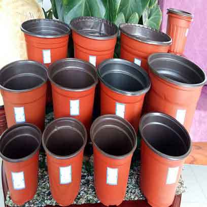 Cheap Large Nursery Pots Plastic For Sale