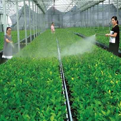 Cheap Plastic 288 Cell Tray Wholesale Supplier