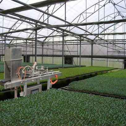 Long Life Propagation Trays Wholesale Supplier