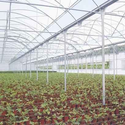 Bulk Buy Teku Plastic Nursery Pots Cheap