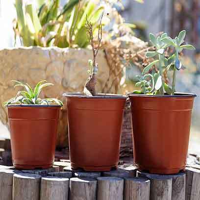 Cheap Teku Plastic Pots Suppliers Saudi Arabia