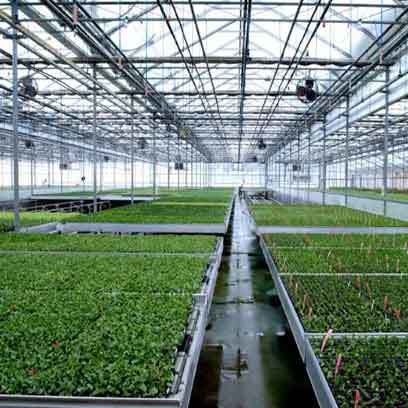 Cheap Plastic 4x8 Grow Tray Manufacturers
