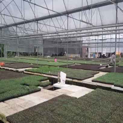 Cheap Custom Grow Trays Manufacturers In China