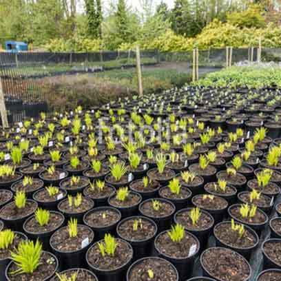 Cheap 14 Inch Plastic Plant Pots Suppliers China