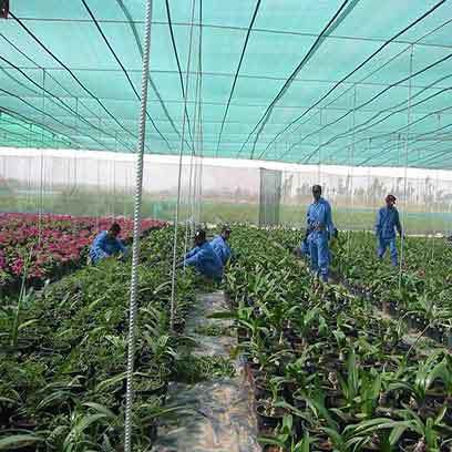 14 Inch Plastic Plant Pots Manufacturers Canada