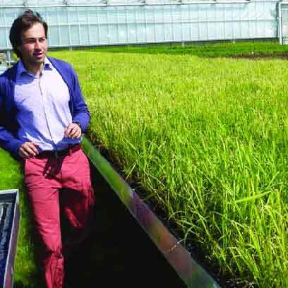 Plastic 2x2 Grow Tray Manufacturers Philippines