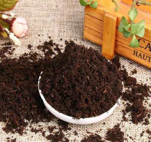 citrus mix soil