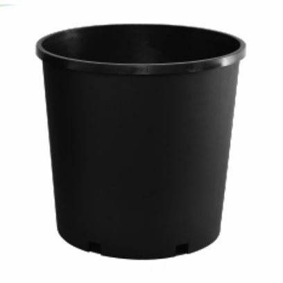 10 gallon plant pot