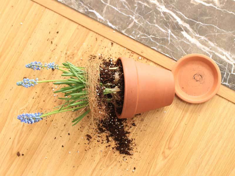 plant pots falling over in wind